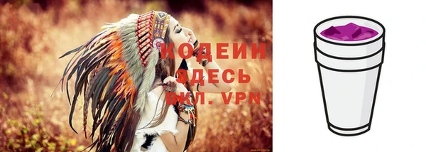 прущий лед Туринск