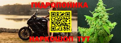 гашик Кулебаки
