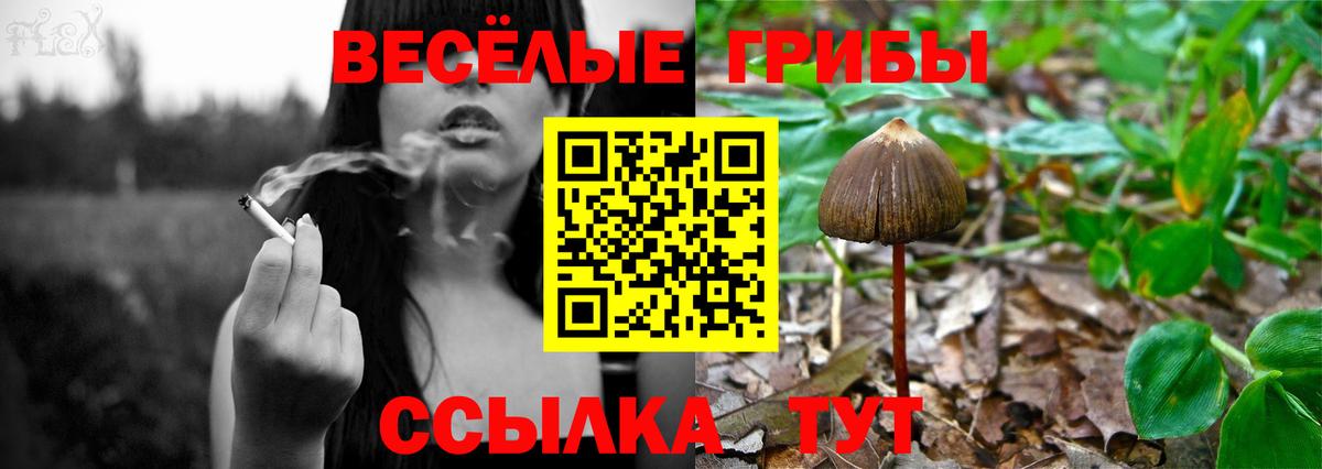 Псилоцибиновые грибы мицелий  Галлюциногенные грибы мицелий  Вход с VPN  Жуковский 